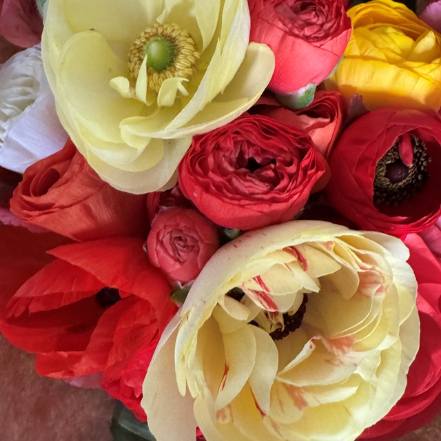 Ranunculus and tulips